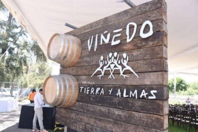 Viñedo “Tierra y Almas”: Un paraíso vinícola para los sentidos en Tecozautla, Hidalgo