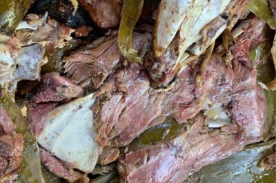 Actopan va por el Guinness con la línea de tacos de barbacoa más larga del mundo
