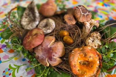 Festival del Hongo en Epazoyucan: prueba platillos tradicionales y explora el bosque